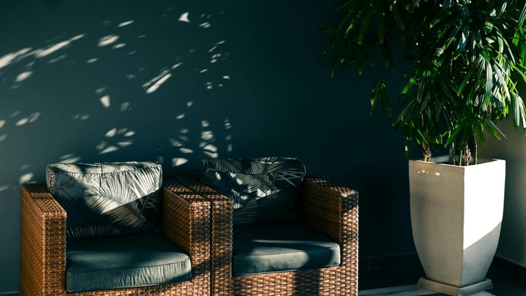 Two rattan chairs with tropical cushions beside a tall potted plant, casting shadows indoors.